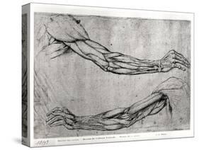 Study of Arms-Leonardo da Vinci-Stretched Canvas