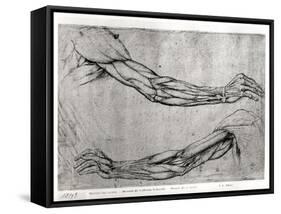 Study of Arms-Leonardo da Vinci-Framed Stretched Canvas