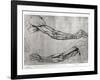 Study of Arms-Leonardo da Vinci-Framed Giclee Print