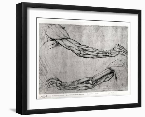 Study of Arms-Leonardo da Vinci-Framed Giclee Print