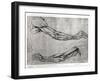 Study of Arms-Leonardo da Vinci-Framed Giclee Print