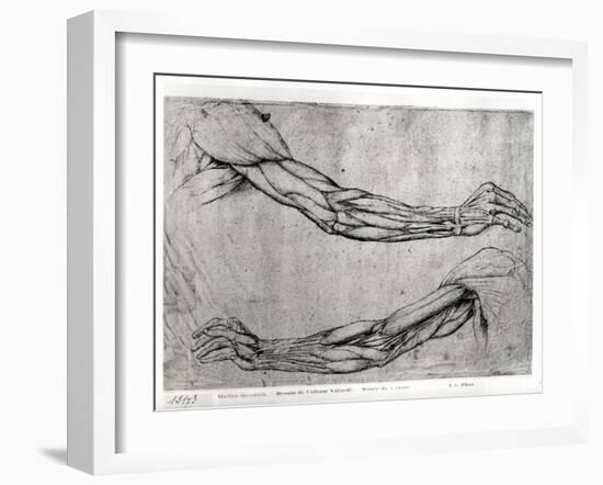 Study of Arms-Leonardo da Vinci-Framed Giclee Print