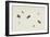 Study of Beetles and Moths-Herman Henstenburgh-Framed Giclee Print