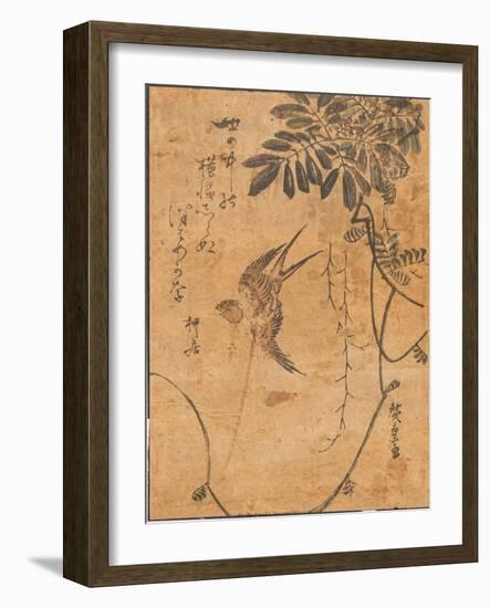 Study of Bird in Flight and Plant, 19Th Century (Woodblock Print)-Ando or Utagawa Hiroshige-Framed Giclee Print