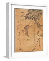 Study of Bird in Flight and Plant, 19Th Century (Woodblock Print)-Ando or Utagawa Hiroshige-Framed Giclee Print