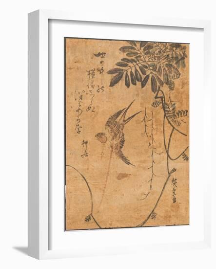 Study of Bird in Flight and Plant, 19Th Century (Woodblock Print)-Ando or Utagawa Hiroshige-Framed Giclee Print