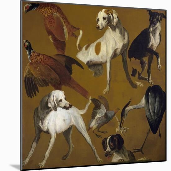 Study of Birds and Dogs, by Alexandre-Francois Desportes (1661-1743), France, 18th Century-Alexandre-Francois Desportes-Mounted Giclee Print