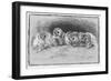 Study of Brown Owls by Louis Wain-null-Framed Art Print