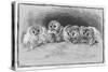 Study of Brown Owls by Louis Wain-null-Stretched Canvas