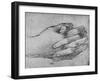 'Study of Clasped Hands', c1480 (1945)-Leonardo Da Vinci-Framed Giclee Print