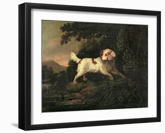 Study of Clumber Spaniel in Wooded River Landscape-Edward Cooper-Framed Giclee Print