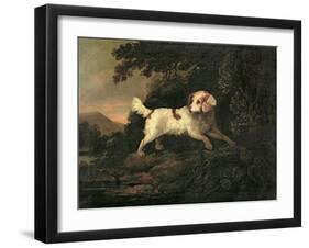 Study of Clumber Spaniel in Wooded River Landscape-Edward Cooper-Framed Giclee Print