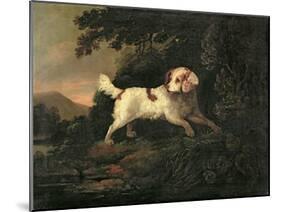 Study of Clumber Spaniel in Wooded River Landscape-Edward Cooper-Mounted Giclee Print