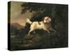 Study of Clumber Spaniel in Wooded River Landscape-Edward Cooper-Stretched Canvas
