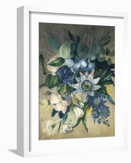 Study of Convulvulus, Passion Flower and Rose, c.1840-null-Framed Giclee Print