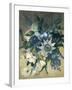 Study of Convulvulus, Passion Flower and Rose, c.1840-null-Framed Giclee Print