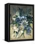 Study of Convulvulus, Passion Flower and Rose, c.1840-null-Framed Stretched Canvas