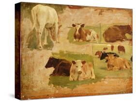 Study of Cows, C.1860-Eug?ne Boudin-Stretched Canvas