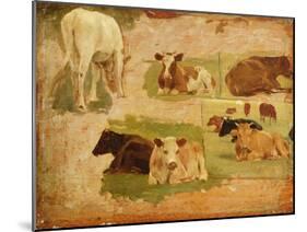 Study of Cows, C.1860-Eug?ne Boudin-Mounted Giclee Print