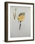 Study of Daffodils-George Wesley Bellows-Framed Giclee Print