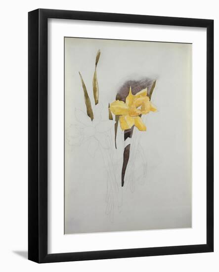 Study of Daffodils-George Wesley Bellows-Framed Giclee Print