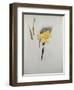 Study of Daffodils-George Wesley Bellows-Framed Giclee Print