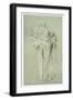 Study of Daphnephoria, C1880-1882-Frederic Leighton-Framed Giclee Print