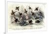 Study of Different Bees, Engraved J. Bishop-Julius Stewart-Framed Giclee Print