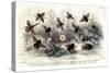 Study of Different Bees, Engraved J. Bishop-Julius Stewart-Stretched Canvas