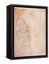 Study of Drapery (Black Chalk on Paper) C.1516 (Verso) (For Recto See 191775)-Michelangelo Buonarroti-Framed Stretched Canvas