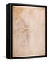 Study of Drapery (Black Chalk on Paper) C.1516 (Verso) (For Recto See 191775)-Michelangelo Buonarroti-Framed Stretched Canvas