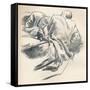 'Study of Drapery', c1916-John Singer Sargent-Framed Stretched Canvas