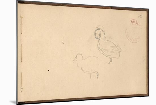 Study of Ducks (Pencil on Paper)-Claude Monet-Mounted Giclee Print
