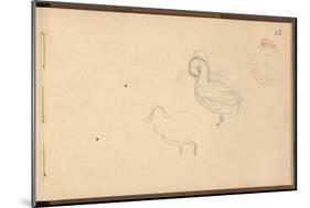 Study of Ducks (Pencil on Paper)-Claude Monet-Mounted Giclee Print