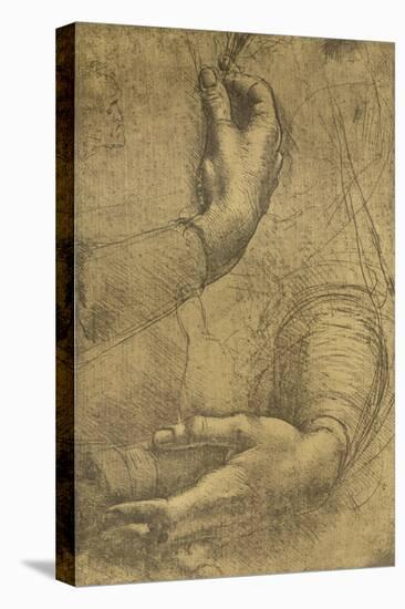 Study of female hands, c1472-c1519 (1883)-Leonardo Da Vinci-Stretched Canvas