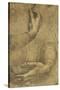 Study of female hands, c1472-c1519 (1883)-Leonardo Da Vinci-Stretched Canvas