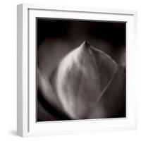 Study of Flower Bud-Edoardo Pasero-Framed Photographic Print