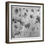 Study of Flowers, C1481-1483-Leonardo da Vinci-Framed Giclee Print