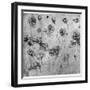 Study of Flowers, C1481-1483-Leonardo da Vinci-Framed Giclee Print