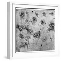 Study of Flowers, C1481-1483-Leonardo da Vinci-Framed Giclee Print