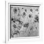 Study of Flowers, C1481-1483-Leonardo da Vinci-Framed Giclee Print