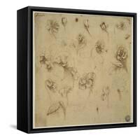 Study of Flowers-Leonardo da Vinci-Framed Stretched Canvas