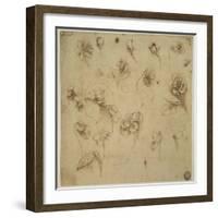 Study of Flowers-Leonardo da Vinci-Framed Giclee Print