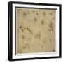 Study of Flowers-Leonardo da Vinci-Framed Giclee Print