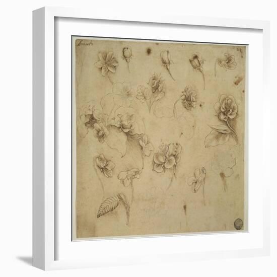 Study of Flowers-Leonardo da Vinci-Framed Giclee Print