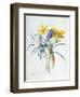 Study of Four Species of Crocus-Georg Dionysius Ehret-Framed Giclee Print