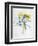 Study of Four Species of Crocus-Georg Dionysius Ehret-Framed Giclee Print