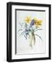 Study of Four Species of Crocus-Georg Dionysius Ehret-Framed Giclee Print