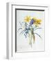 Study of Four Species of Crocus-Georg Dionysius Ehret-Framed Giclee Print