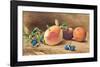 Study Of Fruit, 1877-John William Hill-Framed Art Print